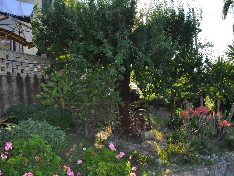 Il Terrazzo sul Sinni — general view