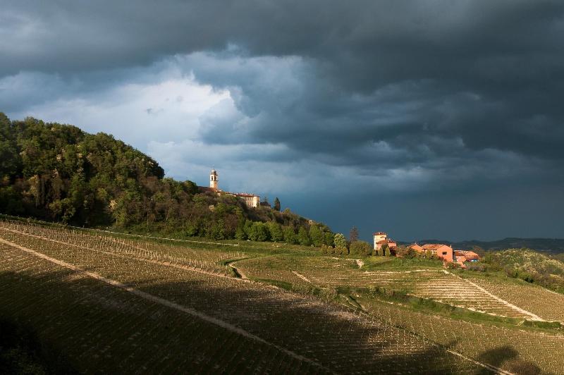 Tenuta Tenaglia image