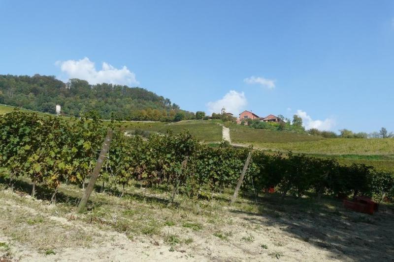Tenuta Tenaglia image