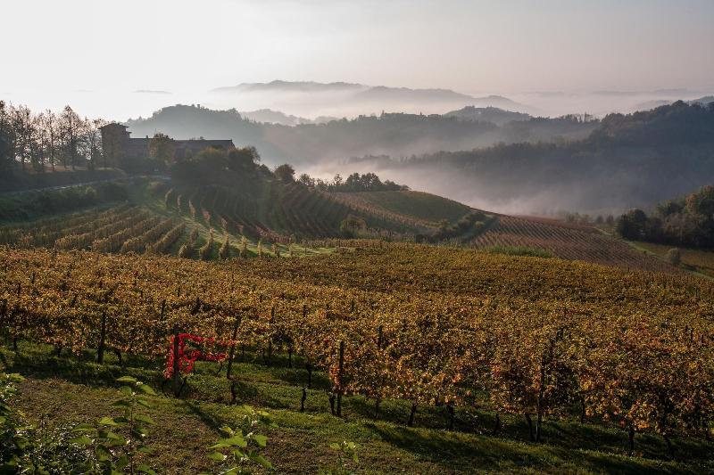 Tenuta Tenaglia image
