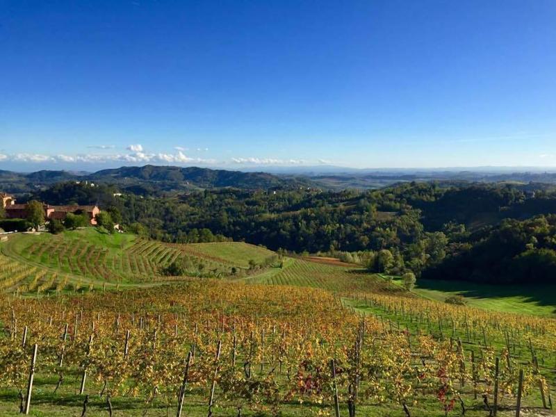 Tenuta Tenaglia image