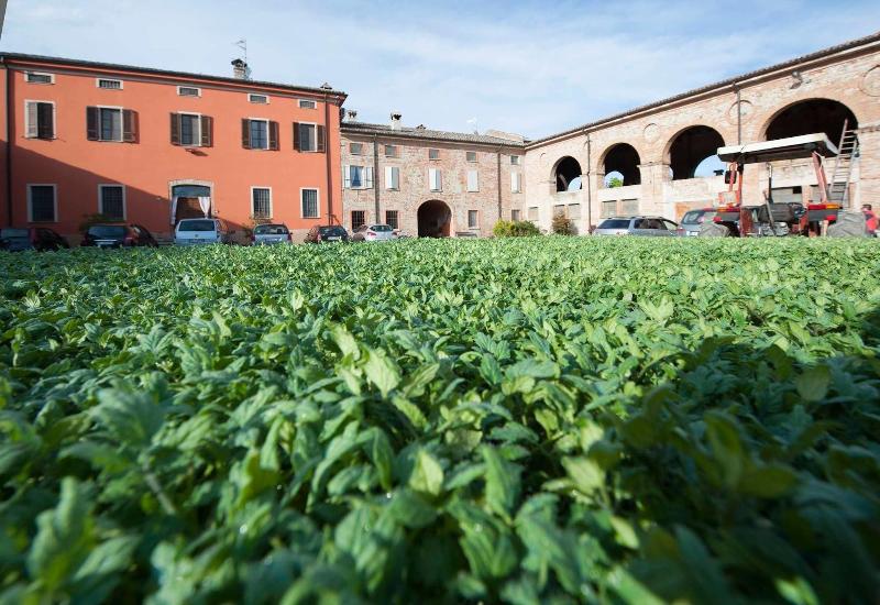 Agriturismo Arte Contadina image
