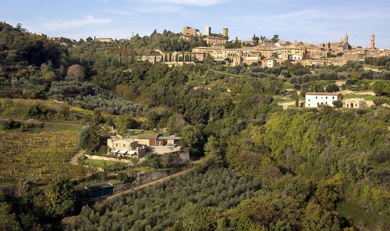 Agriturismo La casella image