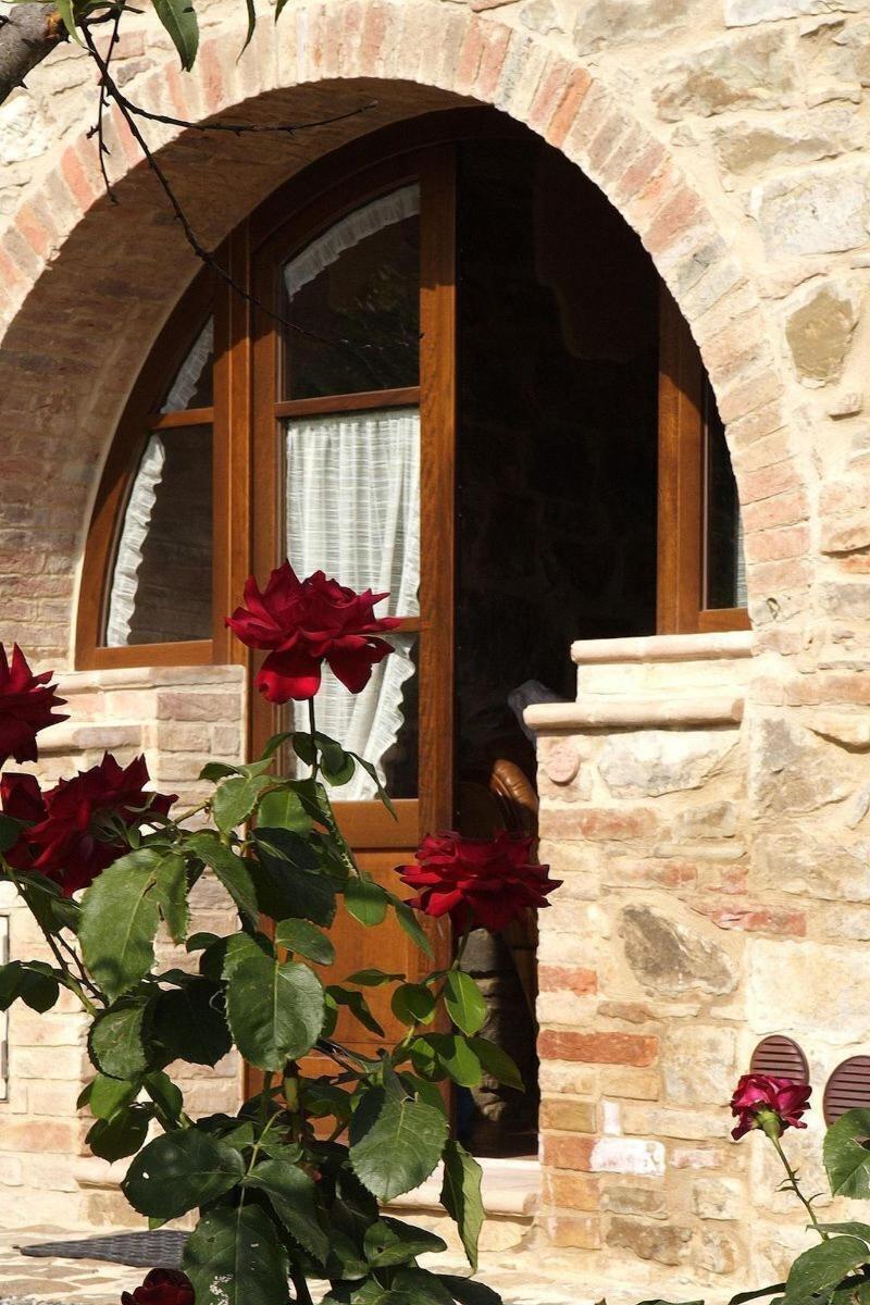 Agriturismo La casella image