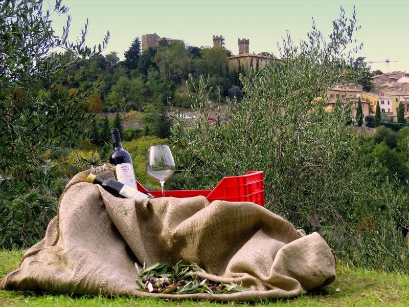 Agriturismo La casella image