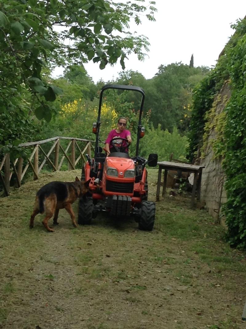 Agriturismo La casella image