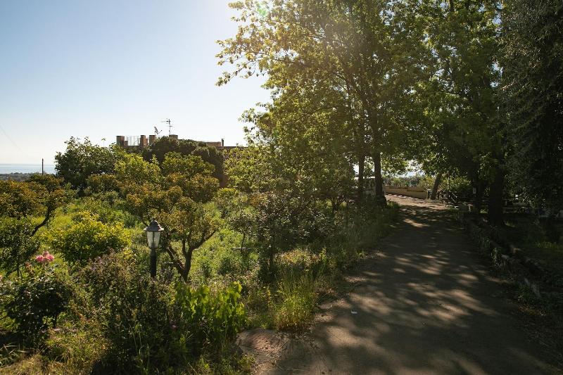 Agriturismo San Leonardello image