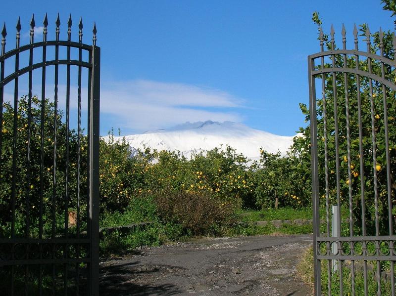 Agriturismo San Leonardello image