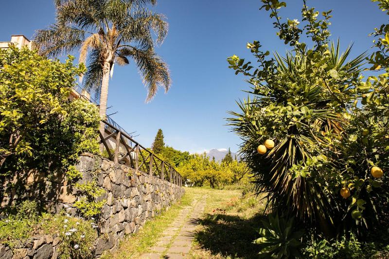 Agriturismo San Leonardello image