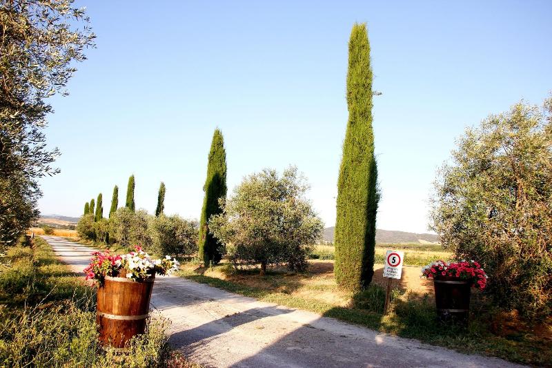 Agriturismo Al Vermigliano image
