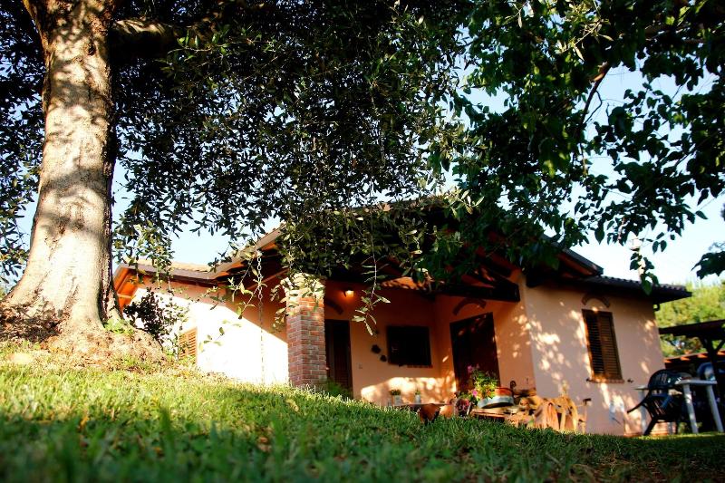 Agriturismo Al Vermigliano image