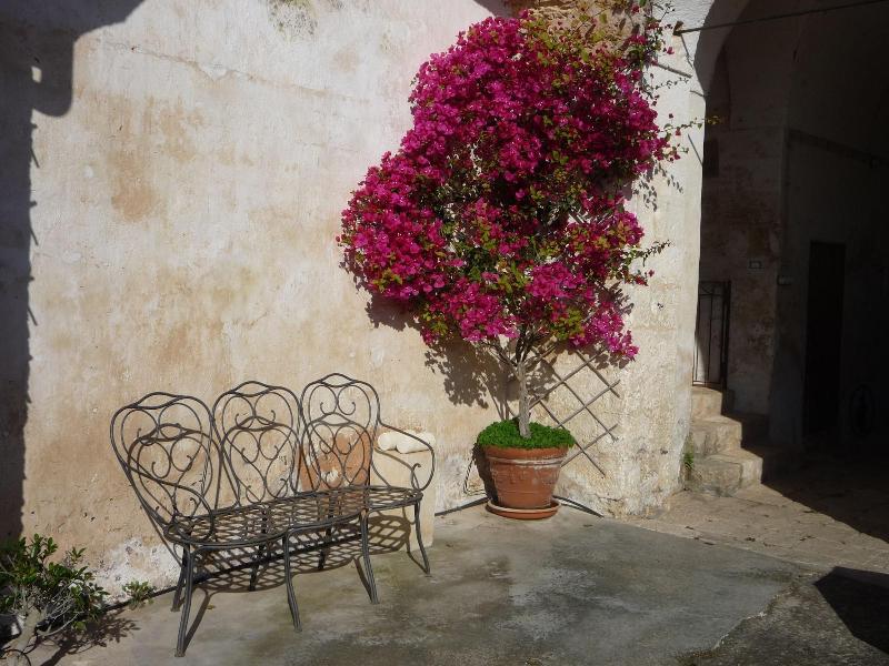 BioMasseria Santa Lucia image