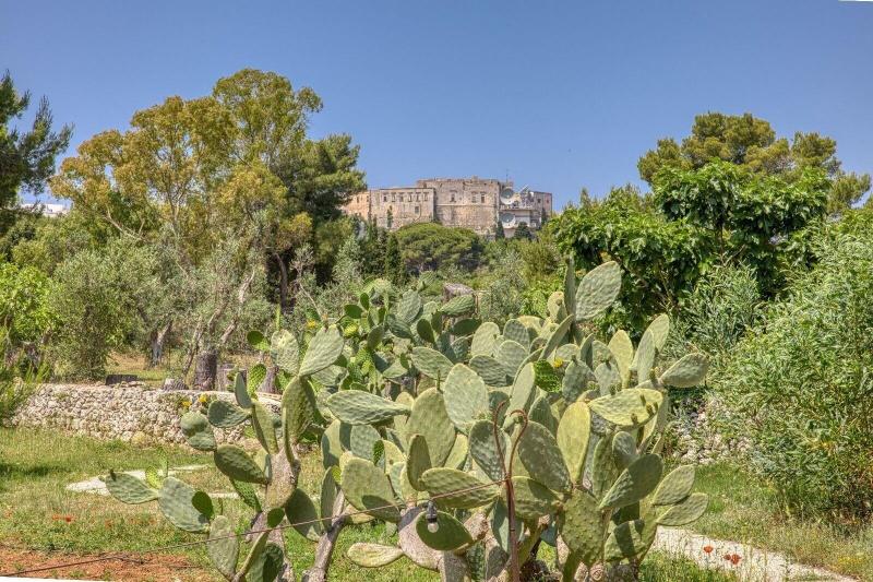 BioMasseria Santa Lucia image