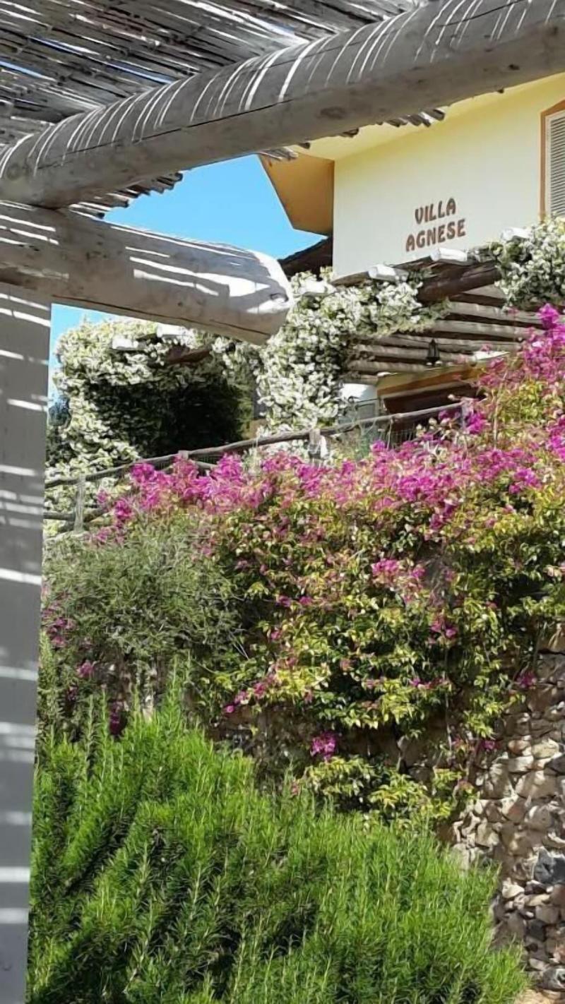 Villa Agnese image