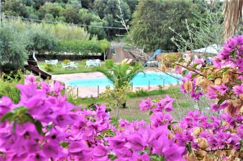 Villa Agnese image