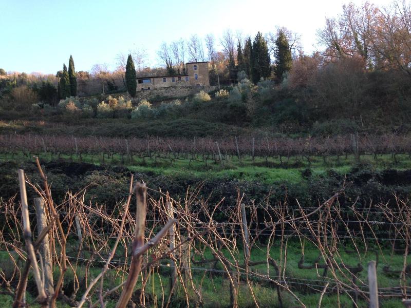 Il Burellino Wine & Resort — general view