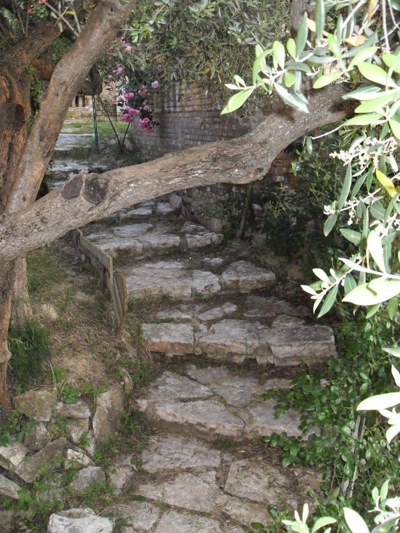 Il Quadrifoglio image