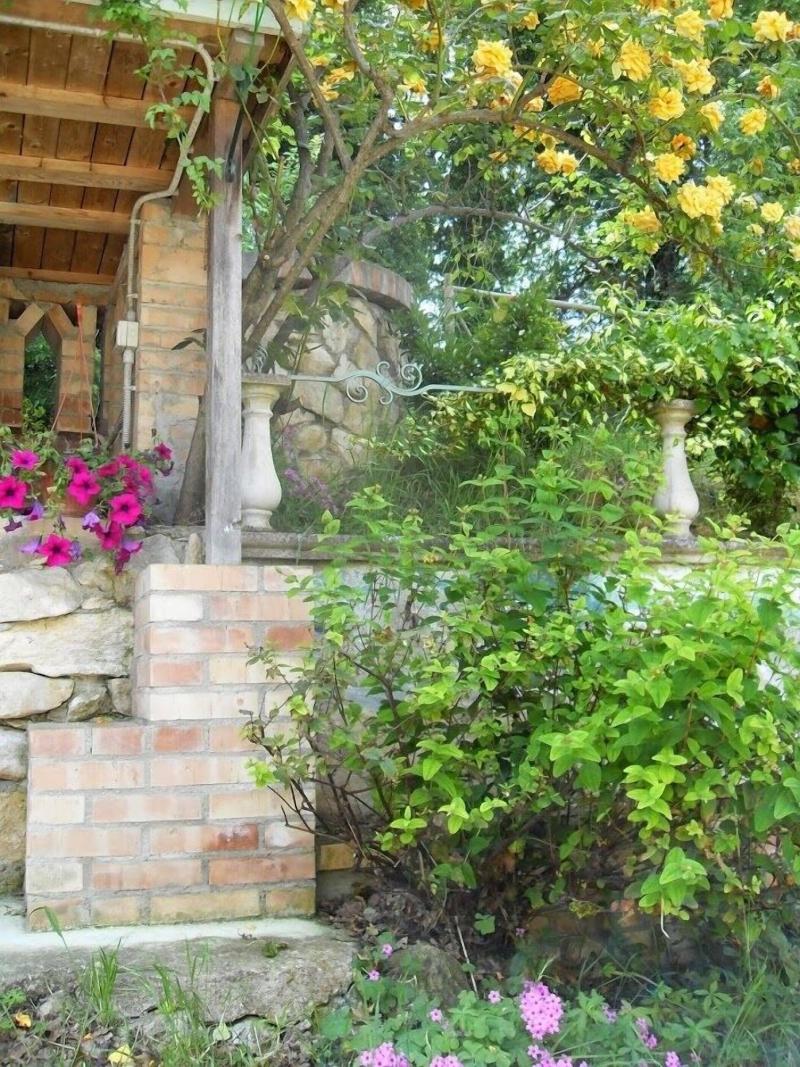 Il Quadrifoglio image