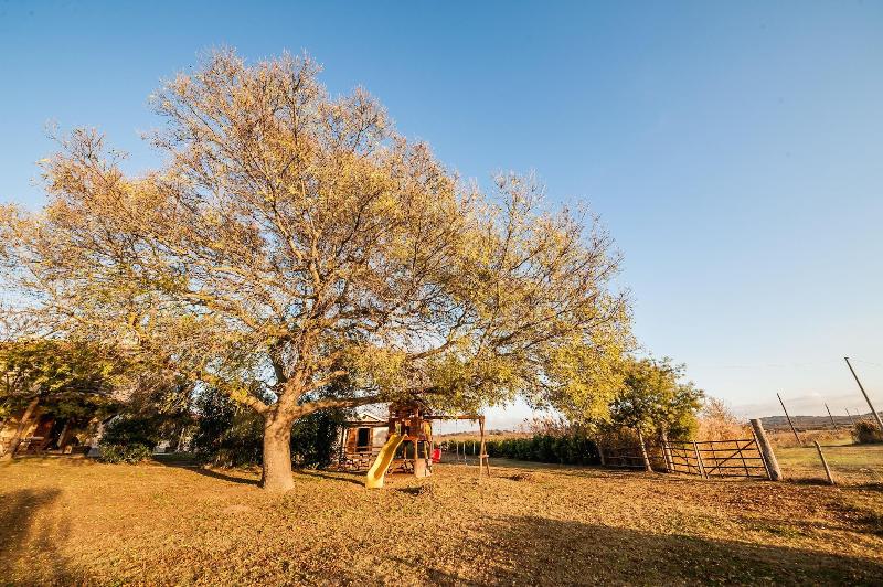 Agriturismo El Molino image