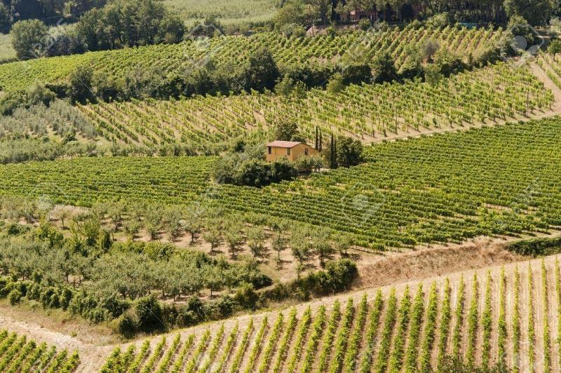 Agriturismo Nobile image