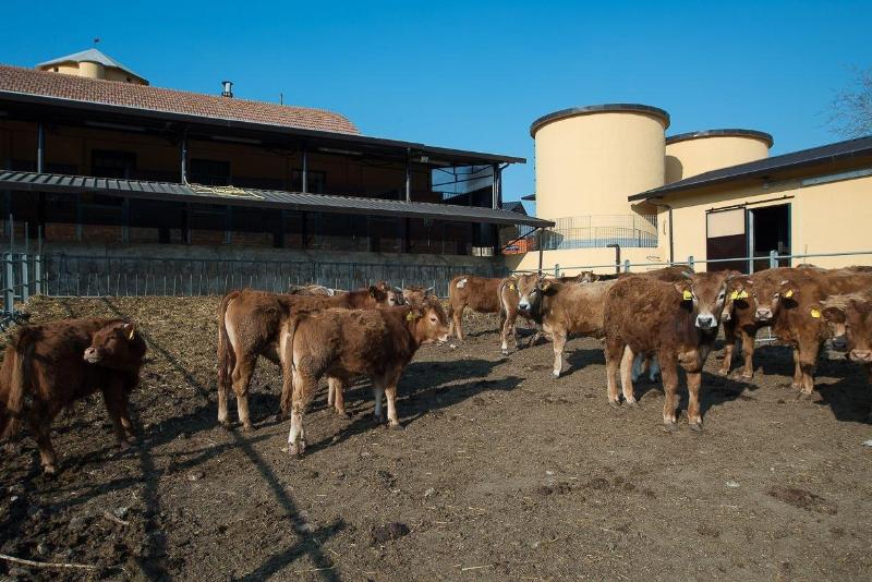 Fattoria Didattica La Collina Incantata image