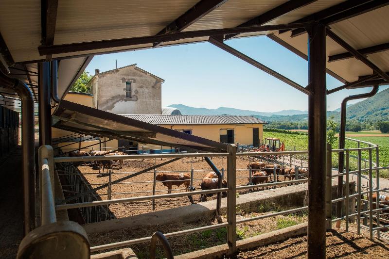 Fattoria Didattica La Collina Incantata image