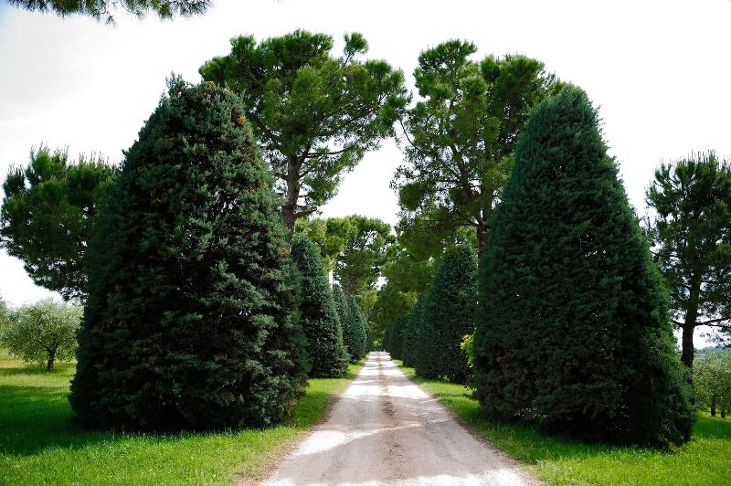 Agriturismo al Colle