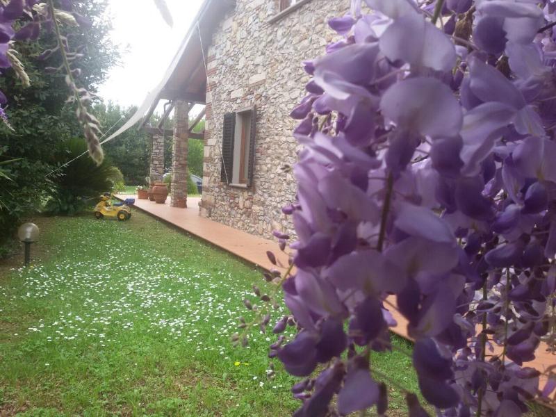 Pietra & Glicine B&B image