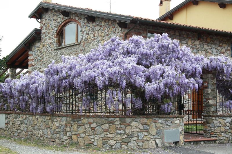 Pietra & Glicine B&B image