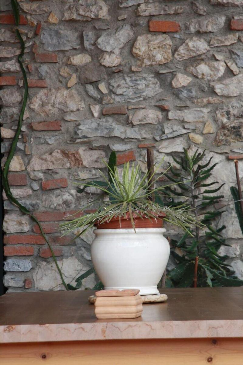 Pietra & Glicine B&B image