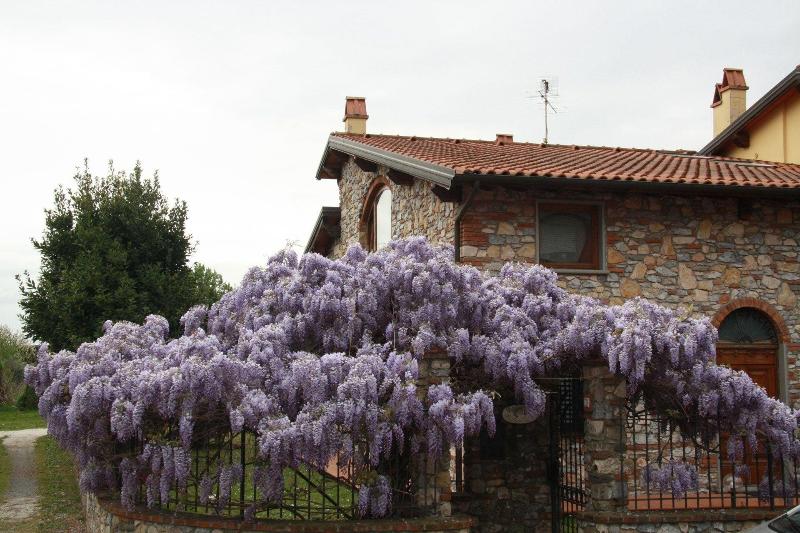 Pietra & Glicine B&B image