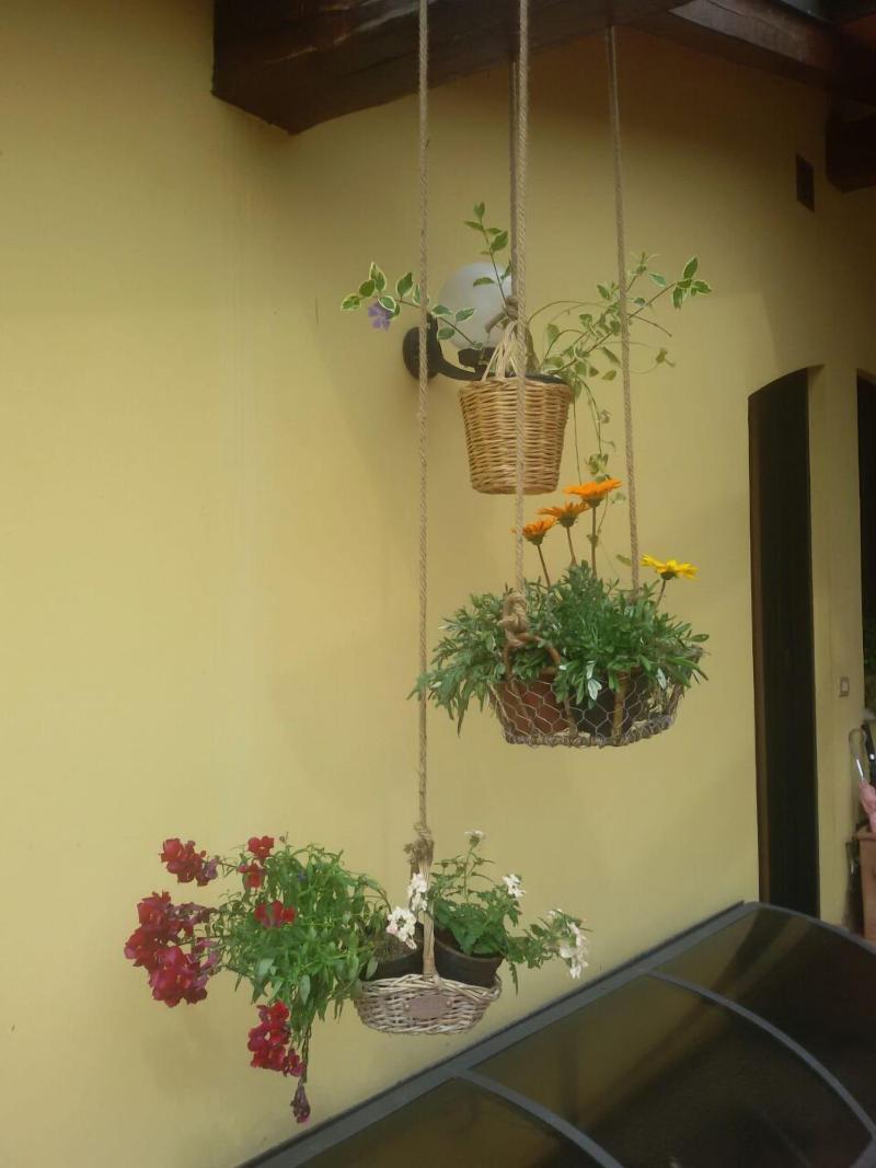 Pietra & Glicine B&B image