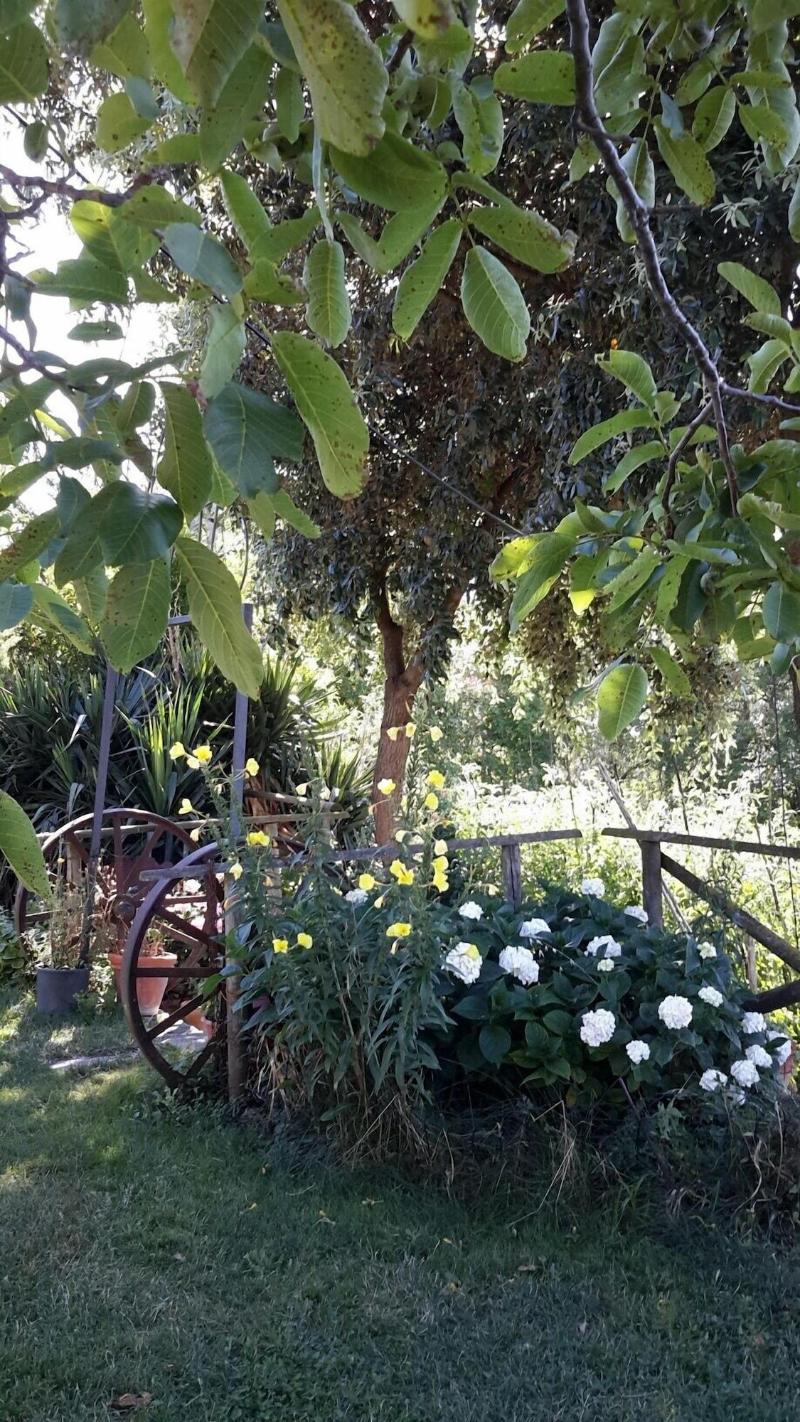 Agriturismo Poggio al Vento image