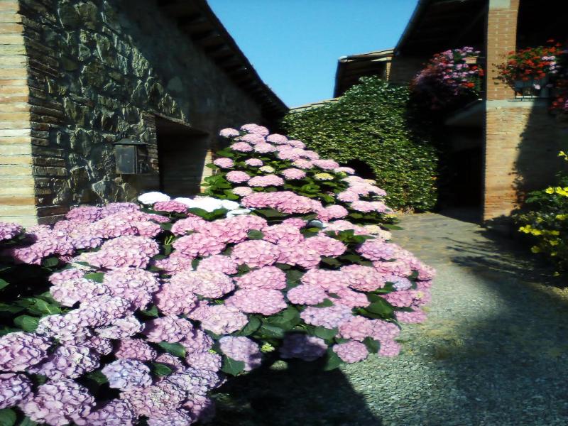 Agriturismo Poggio al Vento image