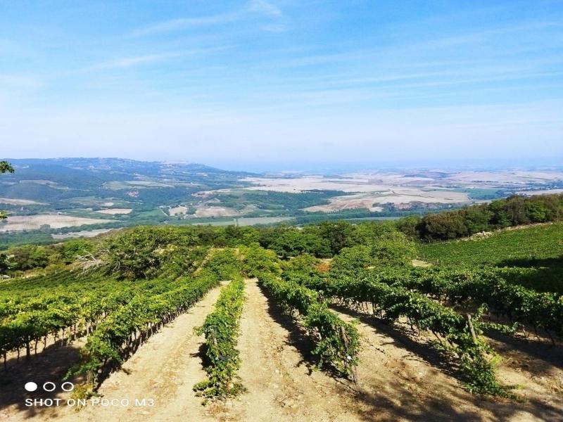 Agriturismo Poggio al Vento image
