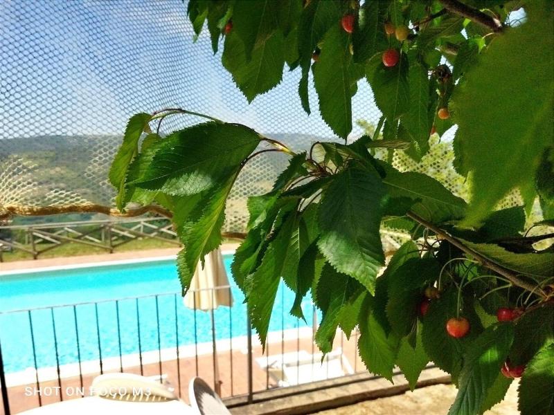 Agriturismo Poggio al Vento image