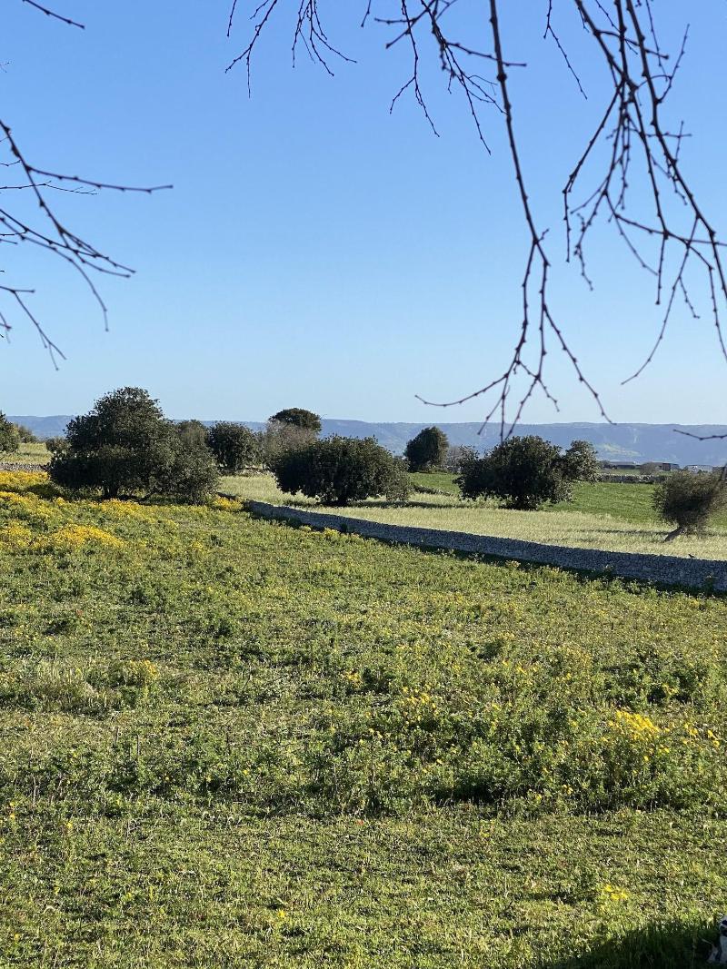 Agriturismo Il Melograno — general view