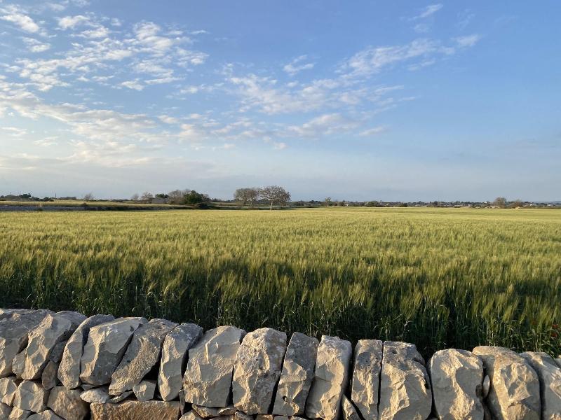 Agriturismo Il Melograno image