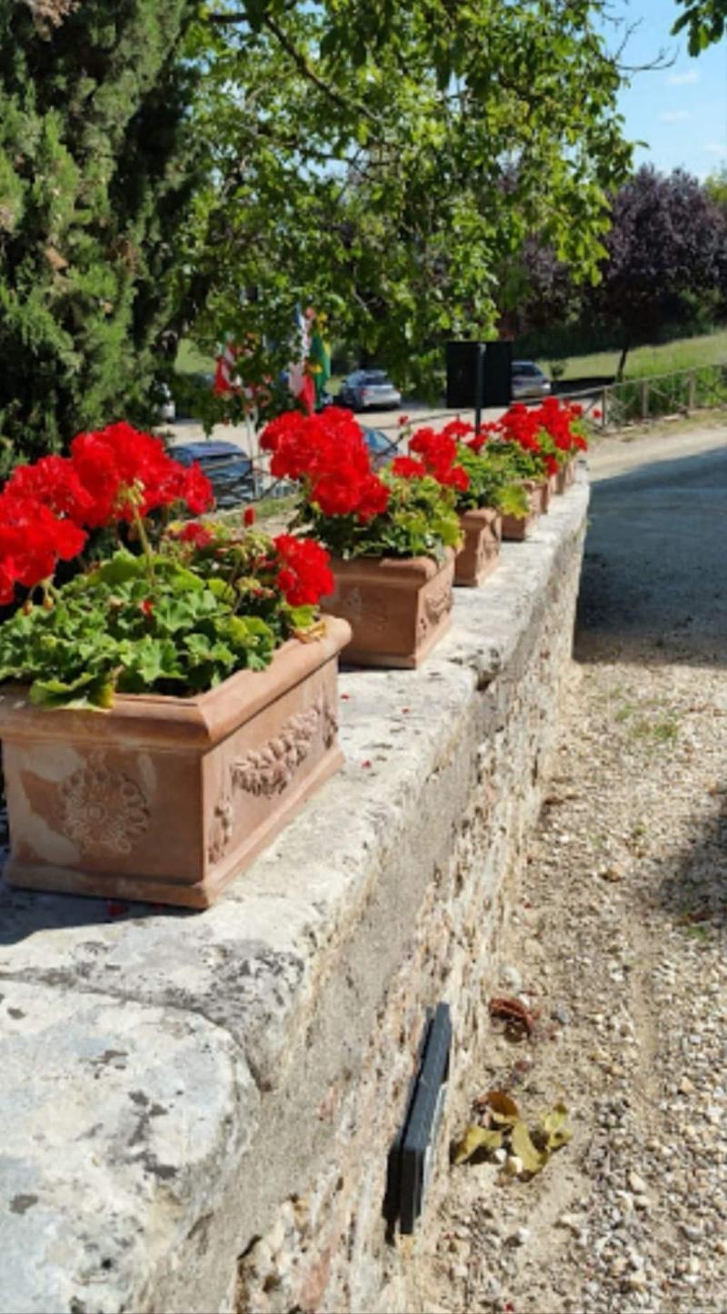 Castel Pietraio image
