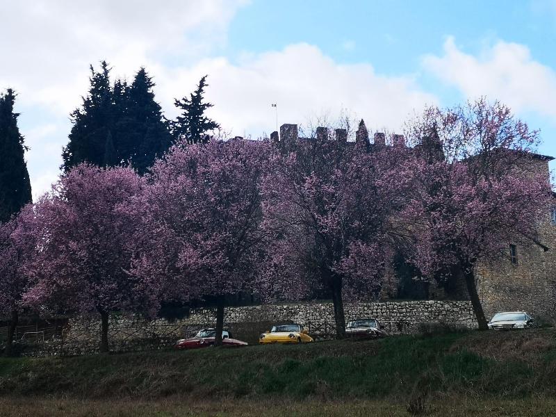 Castel Pietraio image