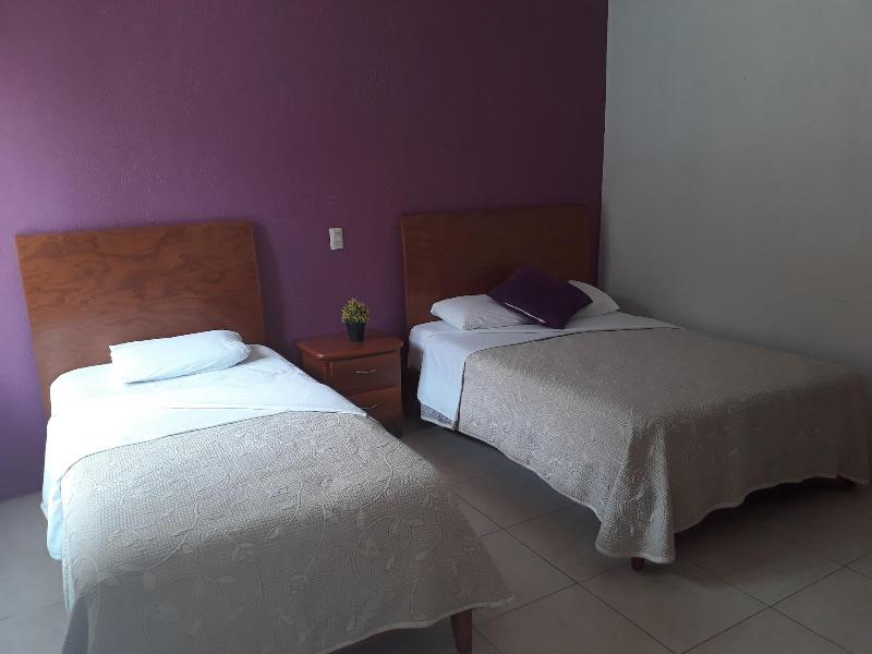 Hotel Vista Verde image
