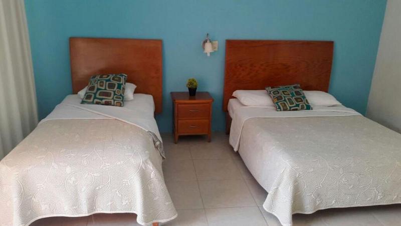 Hotel Vista Verde image