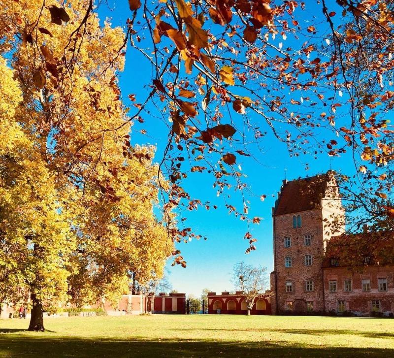 BÃ¤ckaskog Slott image