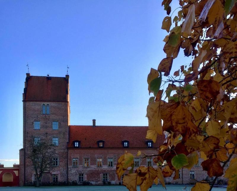 BÃ¤ckaskog Slott image