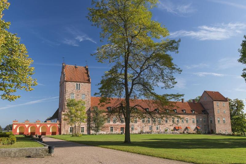 BÃ¤ckaskog Slott image