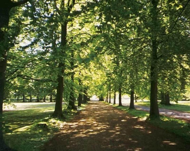 BÃ¤ckaskog Slott image