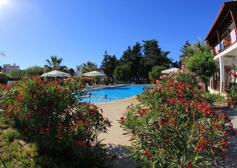 Selvi Beach Hotel image