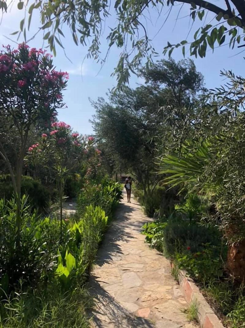 Assos Buyuk Yildizsaray Otel image
