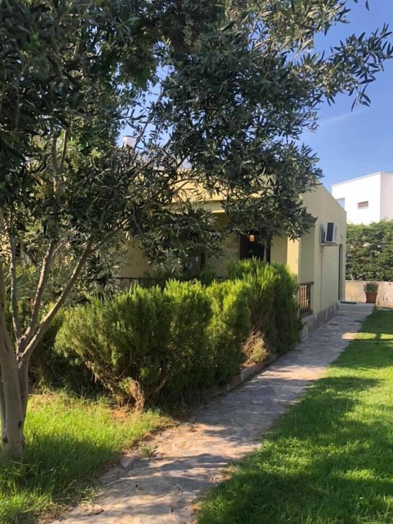Assos Buyuk Yildizsaray Otel image