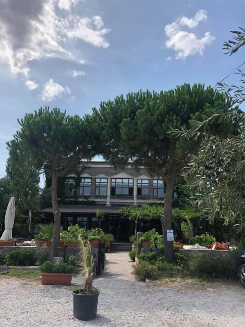 Assos Buyuk Yildizsaray Otel image
